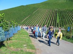 Single stammtisch böblingen